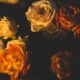 grief recovery reflection 1