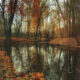 Jennifer Kasander Grief Reflection 5 logo